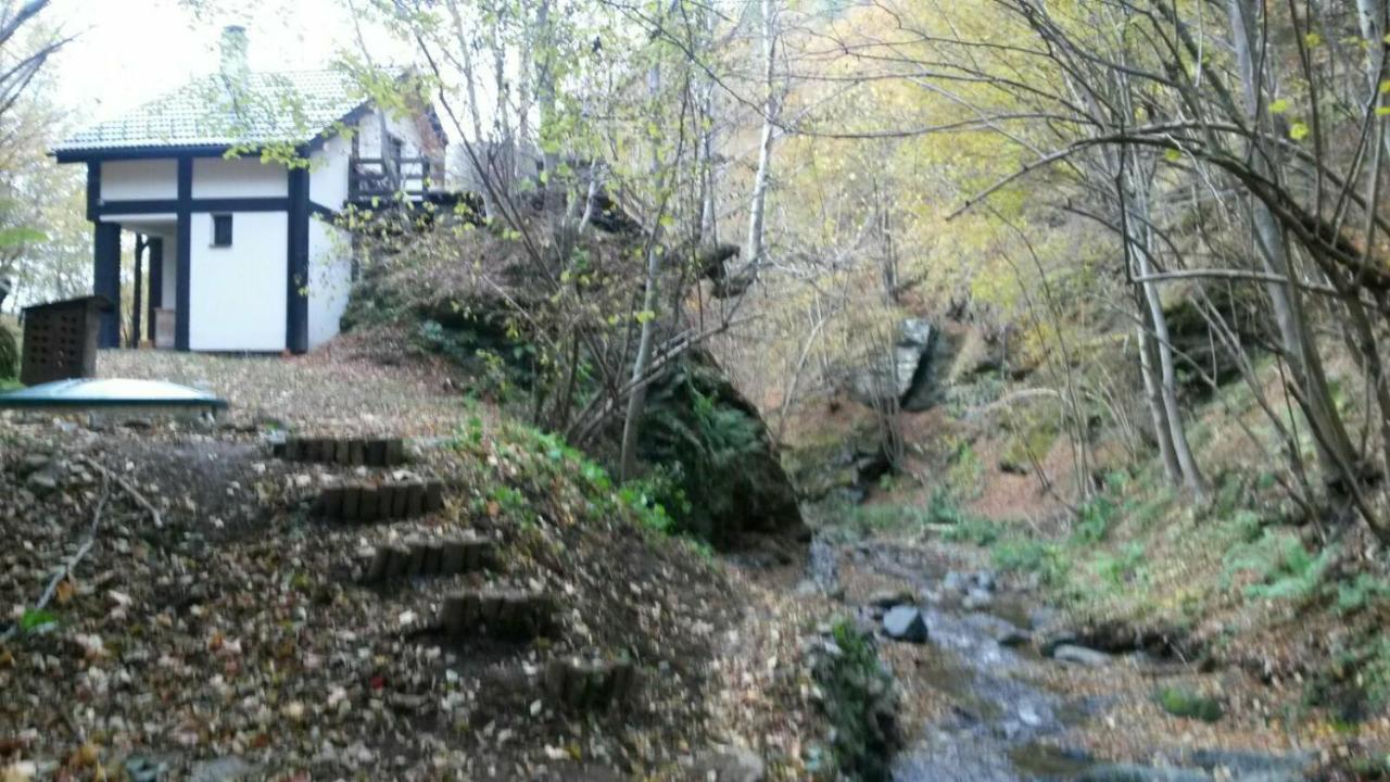 Cabana Crenguta Sibiu Dış mekan fotoğraf